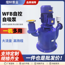 WFB自控自吸泵无密封自控自吸不锈钢清水泵立式自吸泵废水提升泵