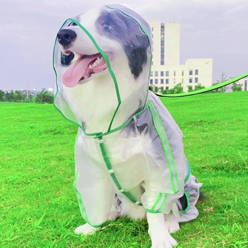 ae2d7450-0f7d-4e18-bd88-e539ea670ee6.jpe