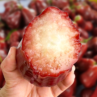 ����S���x�����Ϻڽ���ɏ�F�����rˮ���FժС������3-5����]