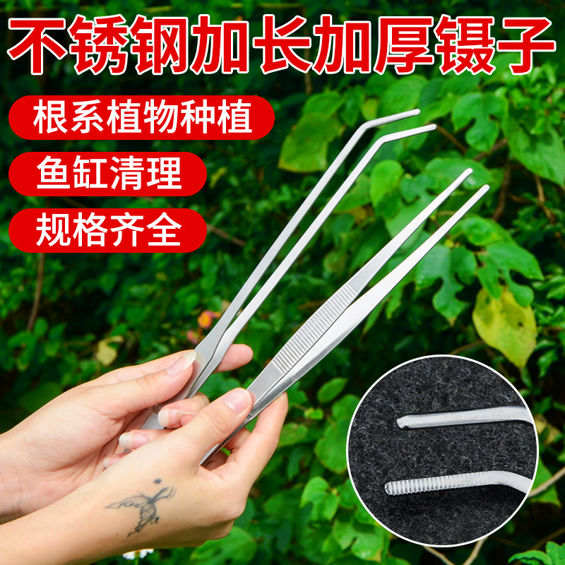 镊子工具维修夹子不锈钢加长加厚弯头夹鱼缸水草聂子取物多肉夹子