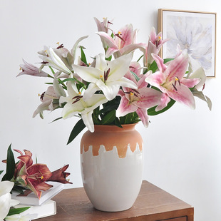 �ٺϷ��滨�ߙn3D��ӡ�Wʽ�͹�3�^���z����ɫ�ָ�EVA��ˮ�ٺϼٻ�