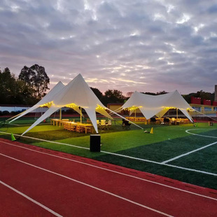 Sanfeng Camp Collection Rainproof and Sunproof 52 Days Canopy Tent Giant Octopus Camping Wanzhongshan Outdoor 63 Super