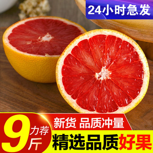 �Ϸ��M�ڼt������9�ﮔ�����rˮ���t��������������������]