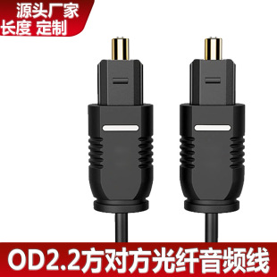 TOSLINK���ڔ������l���w���l����X�ӹ����ҕ��푹��w������