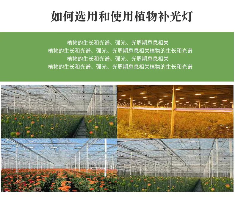 微信图片_20220906235214