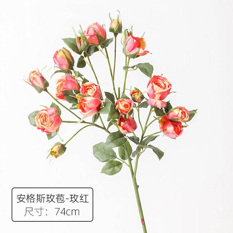로즈 레드