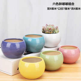 多肉花盆陶瓷大号特价清仓透气创意室内肉肉植物小批发口径