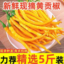 ���Ϻ�|���خa�������r�����Sؕ�����r�S�����������Fժ�F�l5��