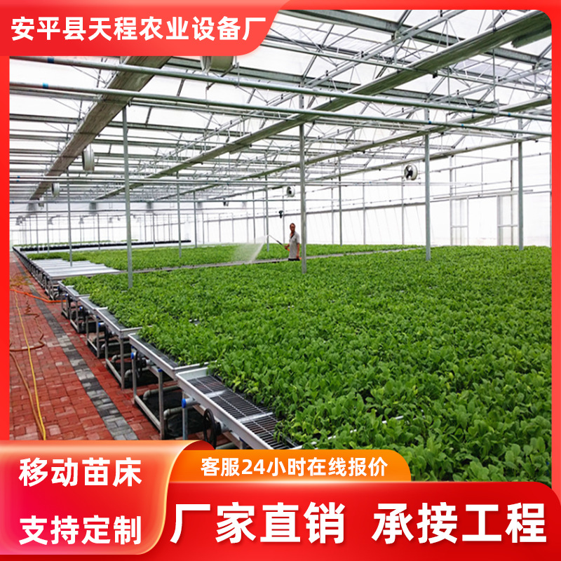 无土栽培果蔬农场大棚温室水培花卉灌溉育苗床种植架苗优质碳钢