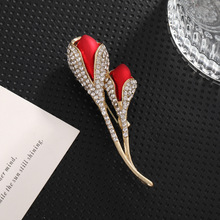 �tɫ������������õ�廨���Ů�����ػ��r���p�^���M荄e����l