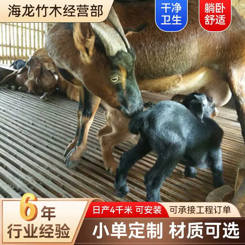 定制养殖设备竹床板漏粪板竹羊床养羊养猪竹板养殖板养花养牛羊床