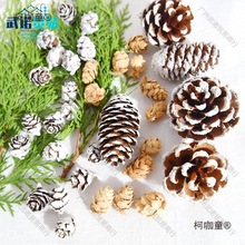 ɹƯ׉TС~Ĕz}Qb̫