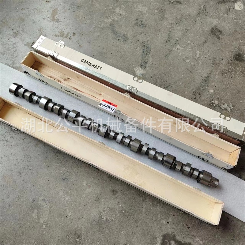 Direct Supply from the Manufacturer, Wholesale and Retail of Construction Machinery Engines Nt855 Camshaft 3042568