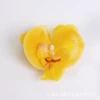 PEVA Phalaenopsis Trumpet-yellow