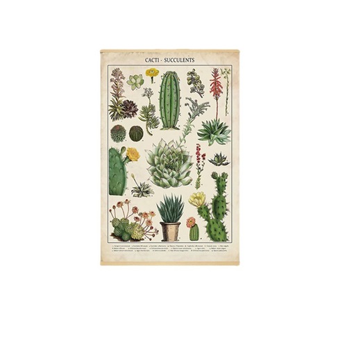 Retro Cactus Plant Illustrated Hanging Scroll Painting Living Room Scroll Painting Porch Hanging Painting Decorative Painting Amazon Hot Sale