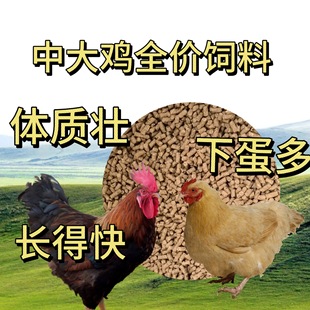 �д��u��ϵ��u���uС�u�r�u�������_���u���Zȫ�r�ߵ������