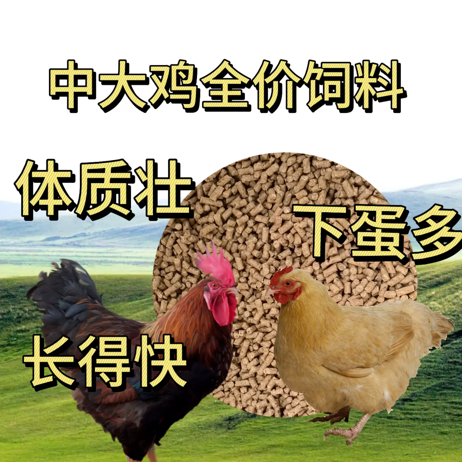 中大鸡饲料蛋鸡肉鸡小鸡雏鸡破碎料开口鸡鸭鹅全价高蛋白饲料