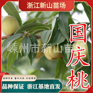 ���c���� ������ѩ���A���Ҙ�޽��綬������ͮ�ش�