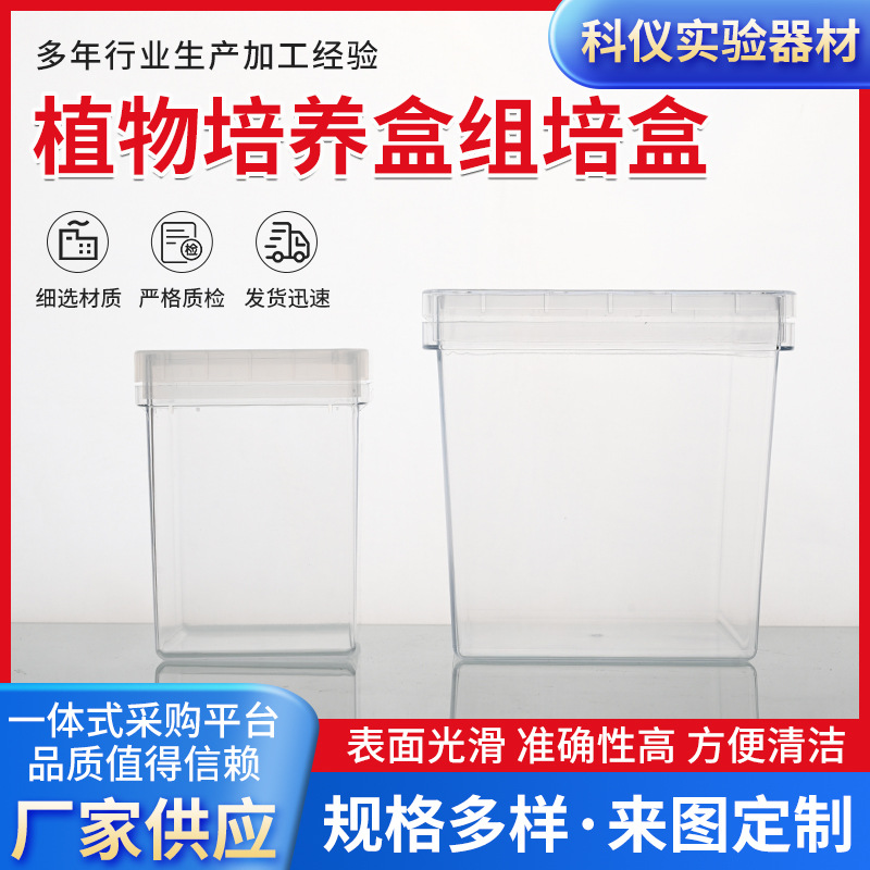 75x100/75x75mm植物培养盒组培盒透明塑料盒子正方形天地盖培养管