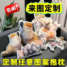 来图定制抱枕diy异形靠枕宠物礼物玩偶人像照片定做猫咪送礼恶搞