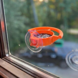 Bird Feeder Window Suction Cup Holder�������Pʽ�B�ιʳ��