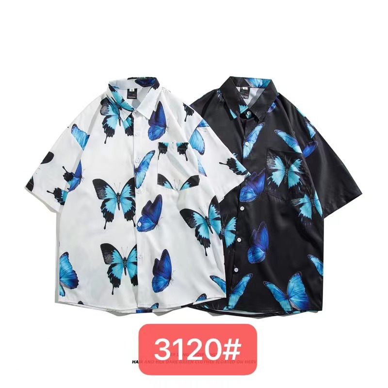 3120 오른쪽 파란색