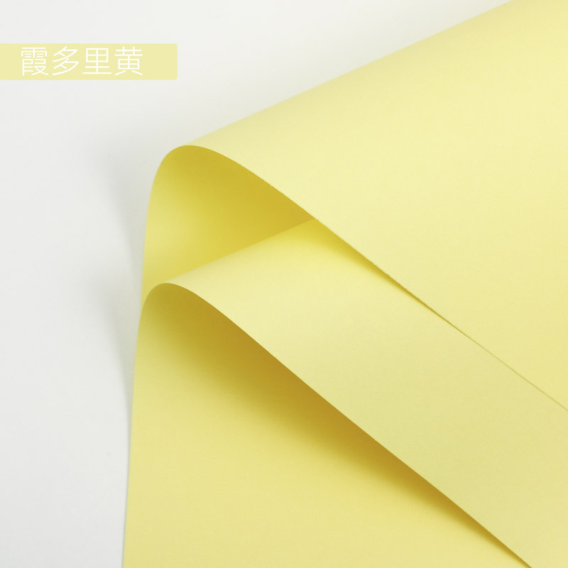 Papel de Arte Impermeable para Flores Grueso para Regalos de Festivos y Ramos image 23