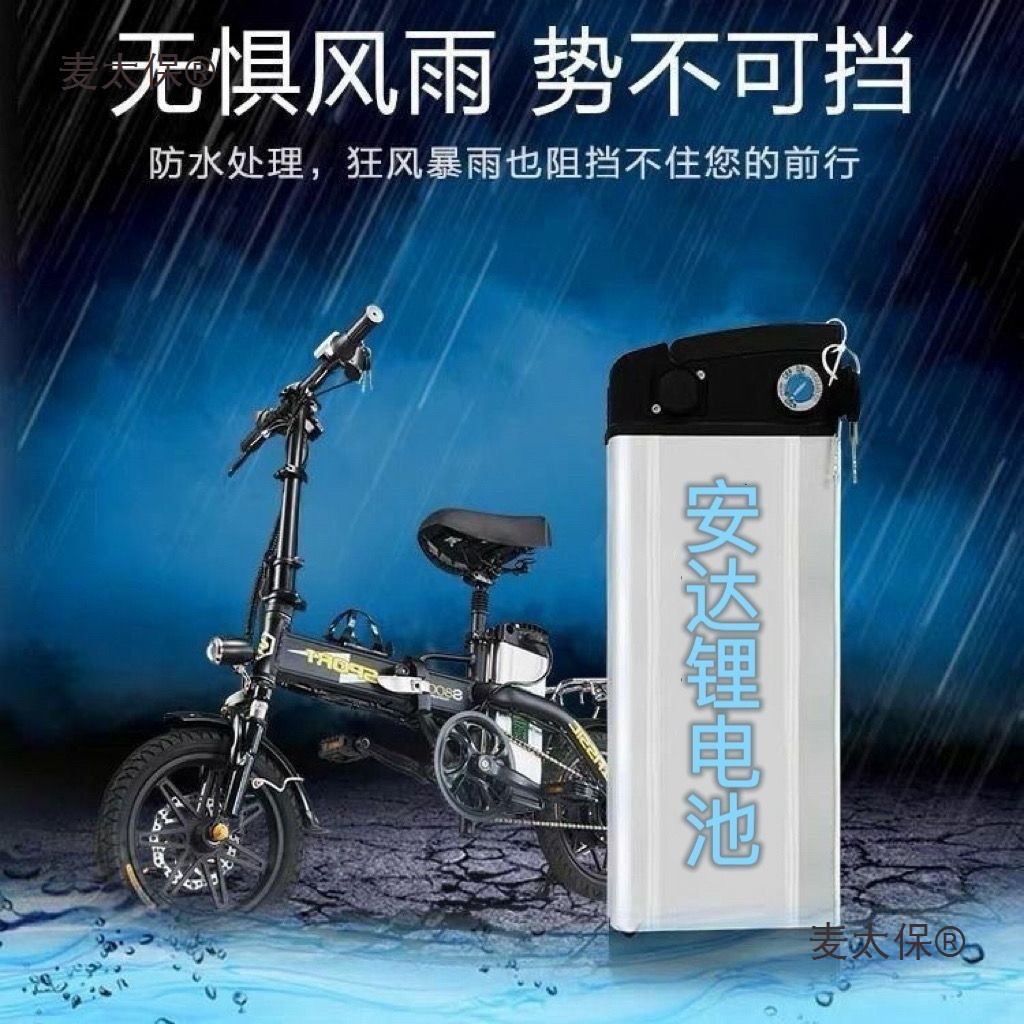 48v20ah伏折叠电池电动车成人通用可拆卸麦太保