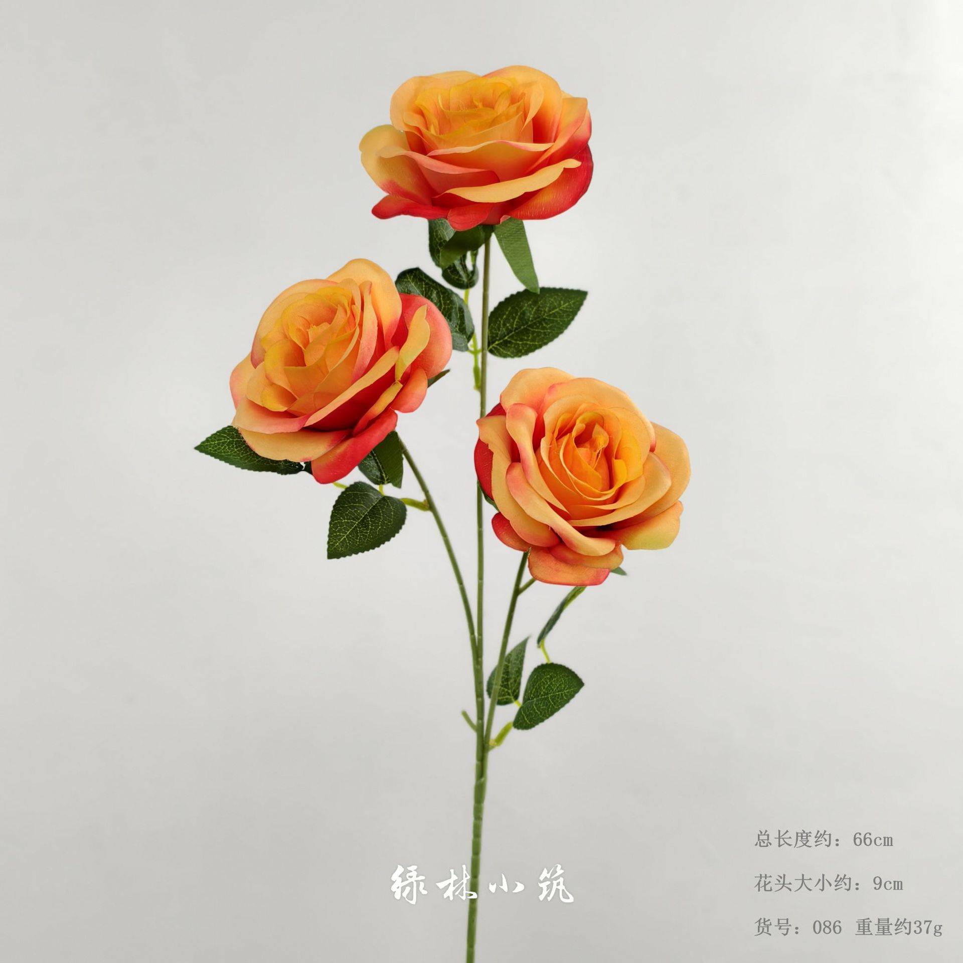 품목번호 086-불가리안 로즈