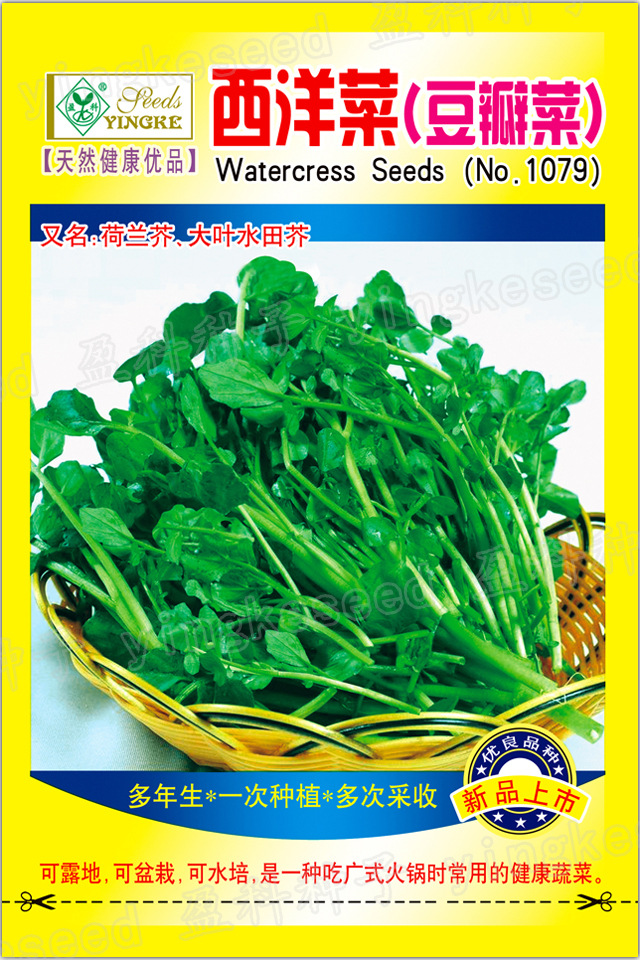 西洋菜(豆瓣菜) (5)一一一一