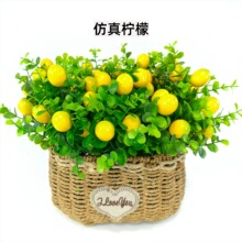 ���R�d����ˮ���ȼ������ʰ��� ���滨�Ҿ��bGֲ�[�����յ���