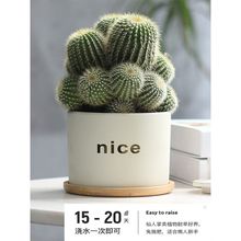 ������С�����������҃ȶ�����X�k������Gֲ���B�k���ҽ��ֲ��