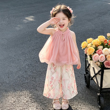 Ůͯ�ļ����b2026�¿ͯ���Ůͯ�b�W���o�����������ѝ�ɼ���