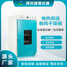 爆款熱銷 電熱恆溫鼓風干燥箱DHG系列實驗室用烘干設備恆溫烤箱