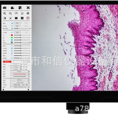 11.6寸4K高清全视角显微镜液晶显示屏采用sonyCMOS800万像素测量