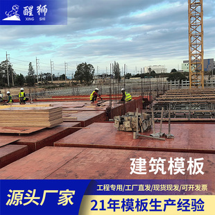 ������������ľ����С�t�� ���̌��I�z�ϰ� ���ؽ��Bģ��ľ����