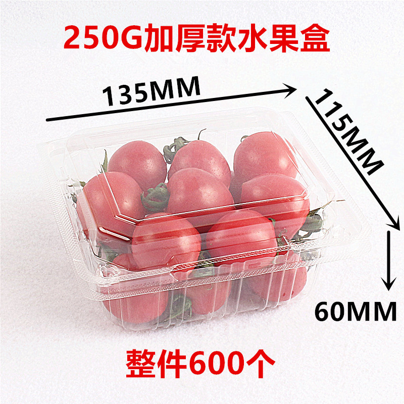 250G 반캐티 두꺼운 버전 600개