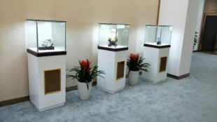 Jewelry display cabinet window sample cabinet museum display cabinet glass counter Jade antique exhibition
