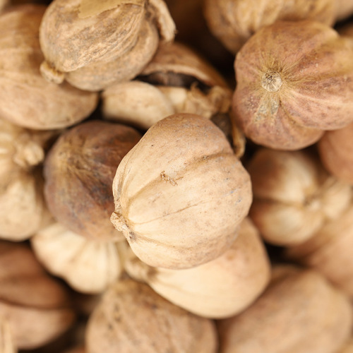 Medicinal and Edible White Cardamom Whole Dried Bone Flavor Base Braising Sauce Shell Cardamom Flavor Stomach and Spleen Distention