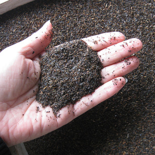 �t���t��Ƭĩĭ�����NҎ����ݲ豣������~��������ԭ����ȡ