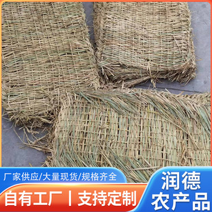 �����ﶬ�����ز݉|�� ���ط����݉|��·���������ݺ��Ӳ�ɻ��