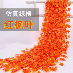 �f�}���b�����~�Gֲ�����}�Q�ж�����ɫ�٘��~��t���~�ٗl