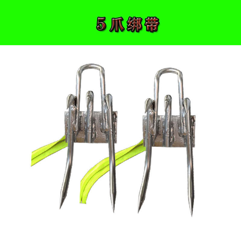 7160e053-ec41-4e71-92c5-18dd2bcb877d.jpe