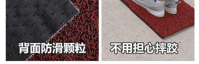 Entrance Door Mat, Silk Loop Anti-Slip Entry Mat, Bathroom Mat, Living Room Door Mat, Car Door Mat