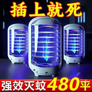 �������ß�2025�M���¿������������ȫ�ԄӲ��ʽ�{������ß�