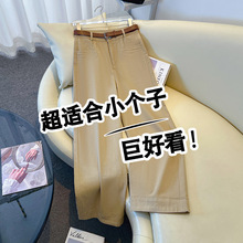 ��ɫֱͲţ�п���Ů���＾2026�¿������������С���ӿ������ȿ�