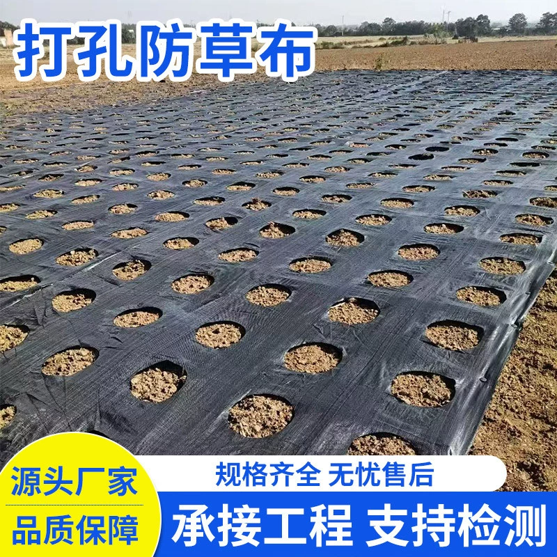 Ткани для предотвращения перфорации Ткани для прополки 70g90g Сельскохозяйственный сад фруктовые деревья Теплица для перфорации и нарезки садоводства