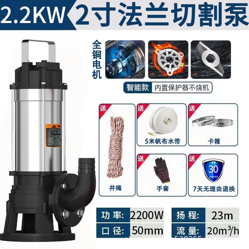 Pequeña bomba de agua agrícola bomba de corte bomba de aguas residuales bomba sumergible doméstica bomba de alta elevación 220V bomba de riego