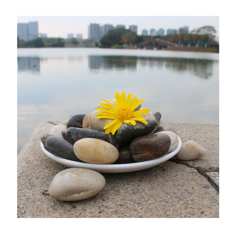 ԰�־��۶���ʯ���� | �㶫����ֱ����Ȼԭʯ | �ֻ�����