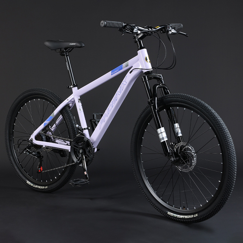 Steel Frame Spoke Wheel-Purple-24 Inch-24 Speed